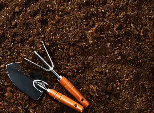 Les canneberges poussent dans un sol acide.