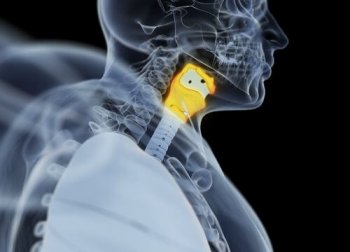 Qu'est-ce que l'hypothyroïdie ?