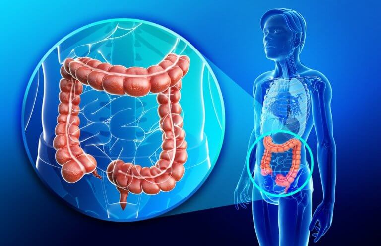 Améliorer les problèmes de thyroïde et d'intestin.