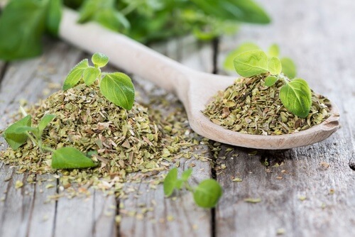 origan aliments pour prende soin de ses reins