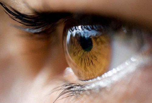 oeil