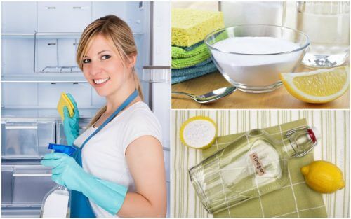Comment nettoyer et désinfecter le réfrigérateur en utilisant 5 produits naturels
