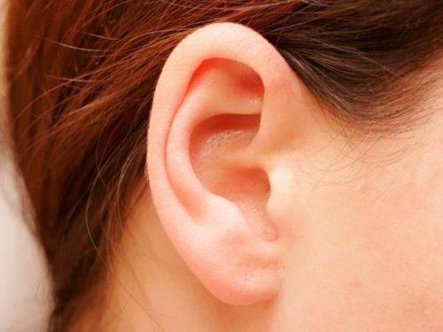 oreilles