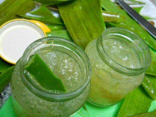 aloe vera pour éliminer le tartre des dents