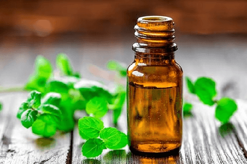 menthe contre les mouches
