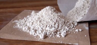 Comment éliminer les puces avec de la terre de diatomée