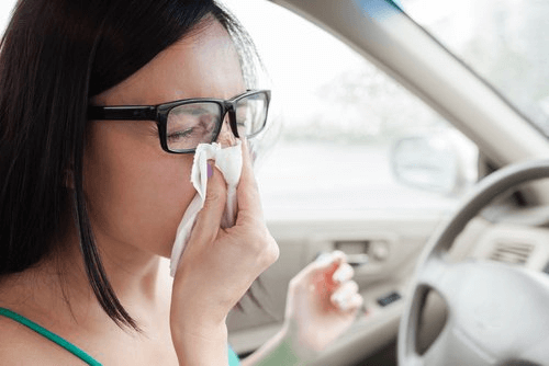 la cannelle aide à réduire les problèmes respiratoires