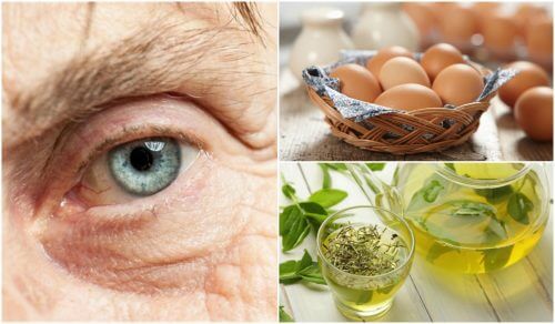 Protégez vos yeux de la dégénérescence maculaire en consommant ces 7 aliments Protégez vos yeux de la dégénérescence maculaire en consommant ces 7 aliments
