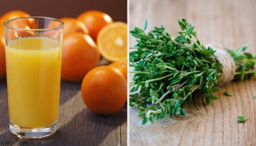 6 antibiotiques naturels méconnus