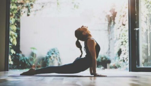 8 exercices pour renforcer les lombaires