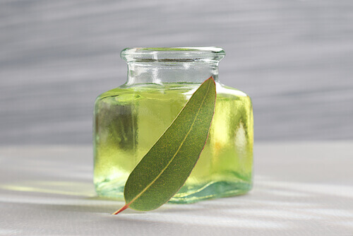 huile d'eucalyptus