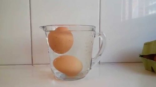 Plongez les œufs dans l'eau pour savoir s'ils sont comestibles.