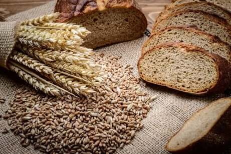 Le pain aux céréales aide à combattre l'anémie.