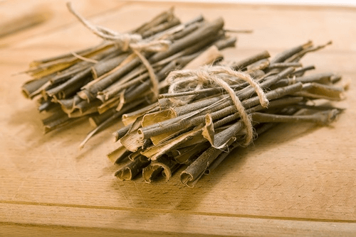la saule pour prendre soin de votre santé osseuse