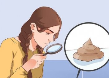 La couleur et la forme des selles en disent long sur votre santé