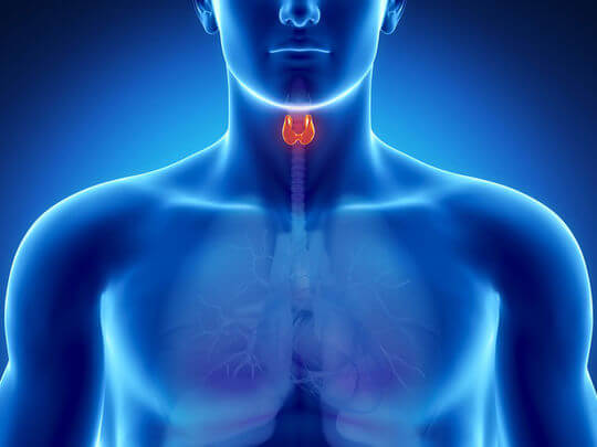 7 signes de problèmes de thyroïde que nous négligeons fréquemment 7 signes de problèmes de thyroïde que nous négligeons fréquemment