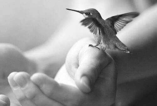 5 habitudes recommandées pour être une personne plus calme
