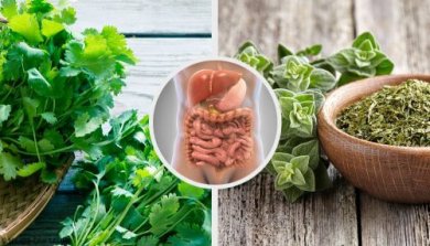 5 infusions aux herbes pour désintoxiquer le système digestif