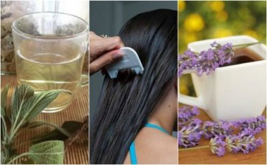 5 remèdes à base de plantes pour combattre naturellement les poux et les lentes