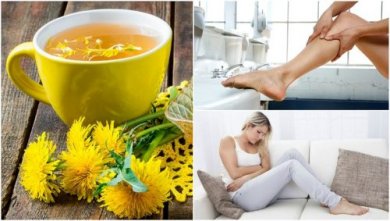 7 bienfaits méconnus du pissenlit