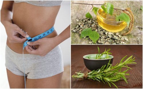 8 herbes bonnes pour la santé qui vous aideront à perdre du poids 8 herbes bonnes pour la santé qui vous aideront à perdre du poids