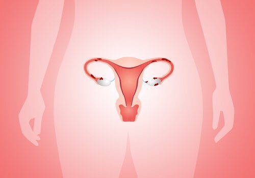 Symptômes de la maladie inflammatoire pelvienne chez la femme (MIP)