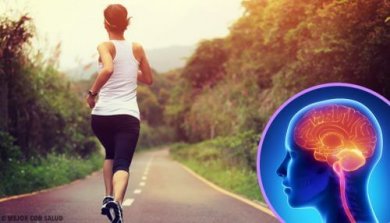 Lorsque nous cessons de faire du sport, notre cerveau change