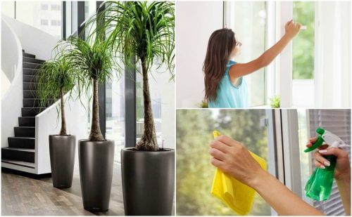 6 choses à faire pour améliorer la qualité de l'air de votre maison