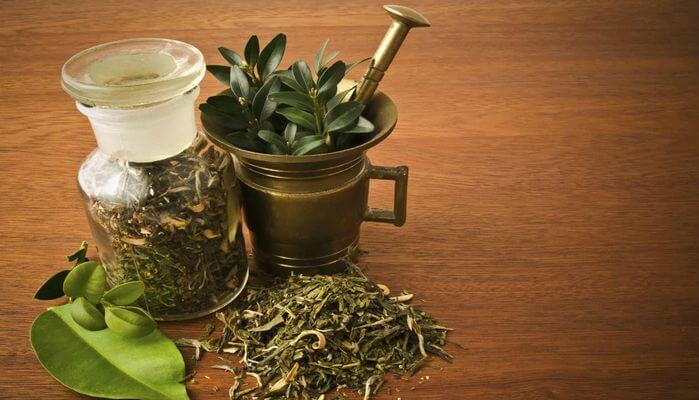 Recette de l'alcool à base de plantes.