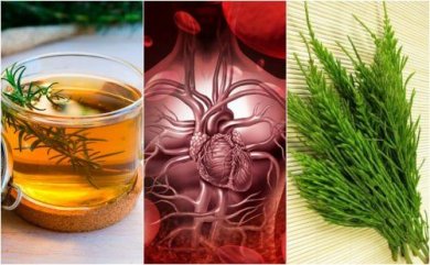 Comment améliorer la circulation sanguine avec 5 remèdes à base de plantes