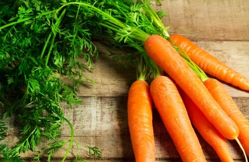 les carottes 