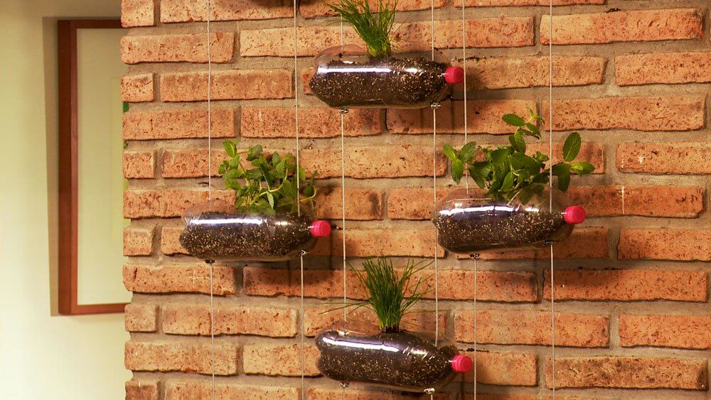 conception du jardin suspendu