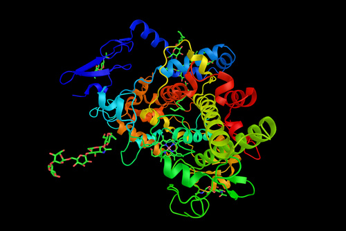 mécanisme d'action de l'ibuprofène