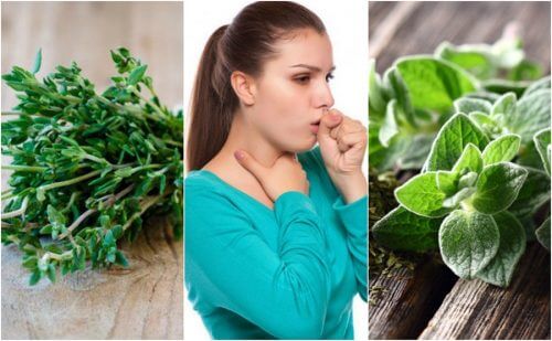 5 plantes médicinales pour soulager la toux grasse
