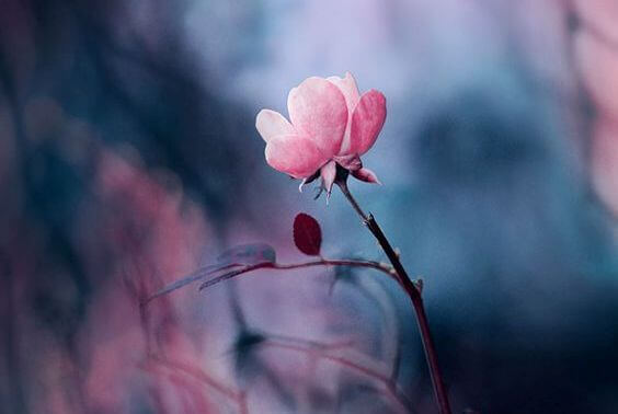 Confiance et vouloir être meilleur.