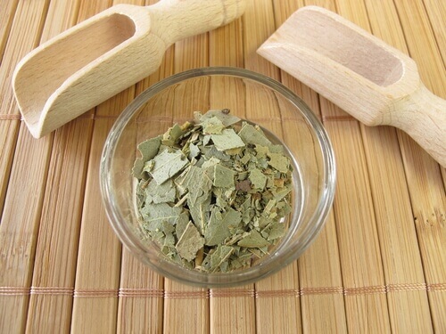 Feuilles d'eucalyptus pour réduire les ronflements.