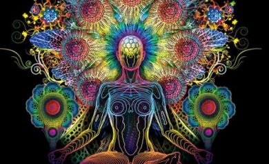 La glande pinéale : régulateur des cycles et oeil vestigial