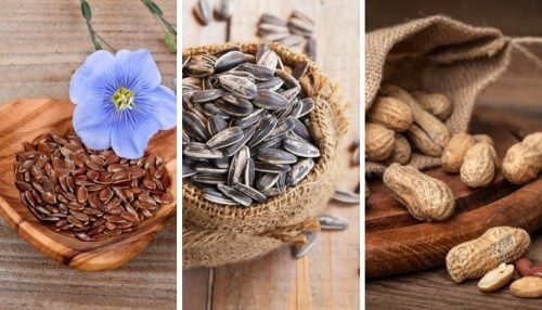 5 graines comestibles et leurs incroyables propriétés