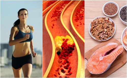 6 habitudes pour contrôler votre taux de cholestérol naturellement