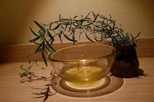Huile essentielle d'arbre à thé pour votre beauté.