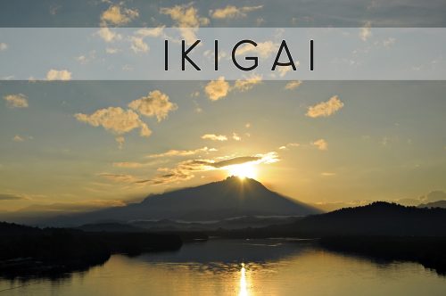 Ikigai, le secret japonais pour vivre mieux