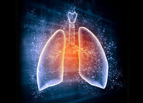 ce que les lunules du pouce disent de votre santé pulmonaire