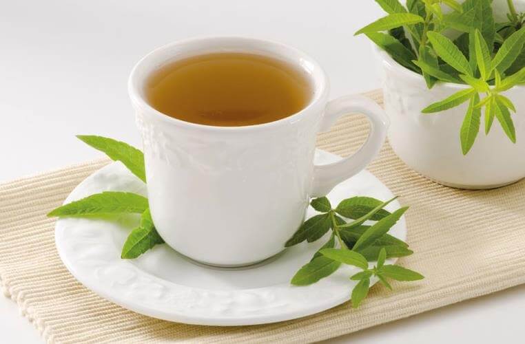 La verveine : une herbe bonne pour la santé dépurative