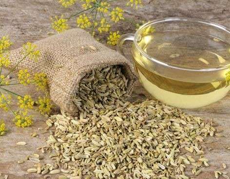 Infusion au fenouil
