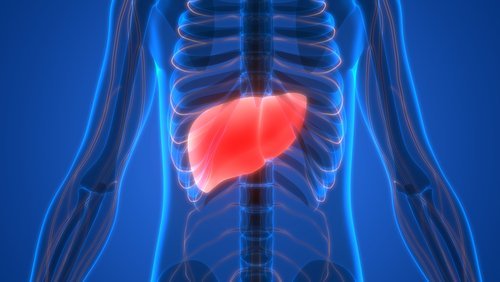 Causes et symptômes de l'insuffisance hépatique