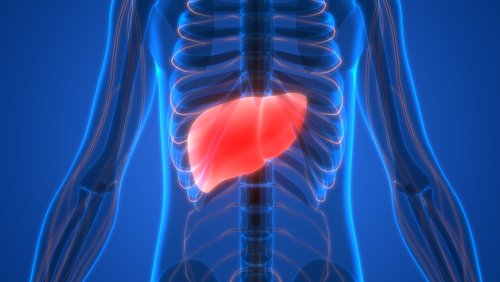 4 causes et 5 symptômes d’insuffisance hépatique 4 causes et 5 symptômes d’insuffisance hépatique