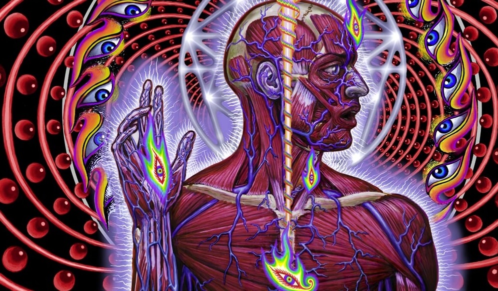 Le troisième oeil - la glande pinéale