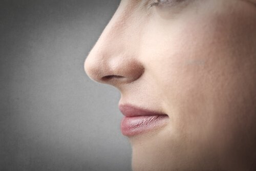 Le coronavirus provoque une perte d'odorat
