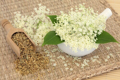 Remèdes naturels efficaces pour soigner les maux de tête : reine des prés