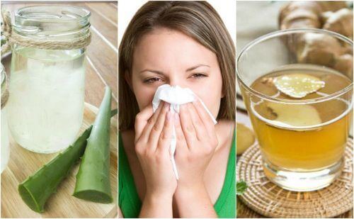 Comment soulager la rhinite allergique avec 5 remèdes d'origine naturelle